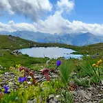Bed & Breakfast Les Hauts Du Paquier *
