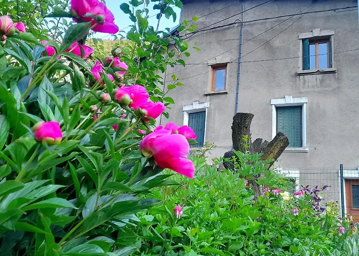 Bed and Breakfast Les Hauts Du Paquier