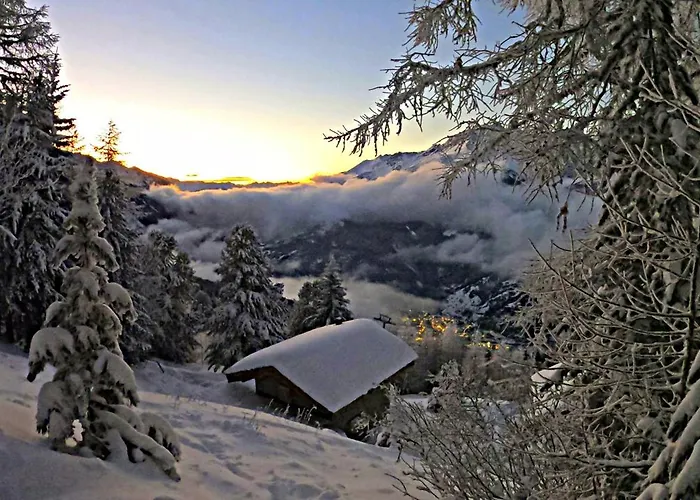 Les Hauts Du Paquier
