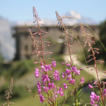 Les Hauts Du Paquier *