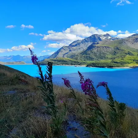 Les Hauts Du Paquier *