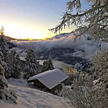 Les Hauts Du Paquier